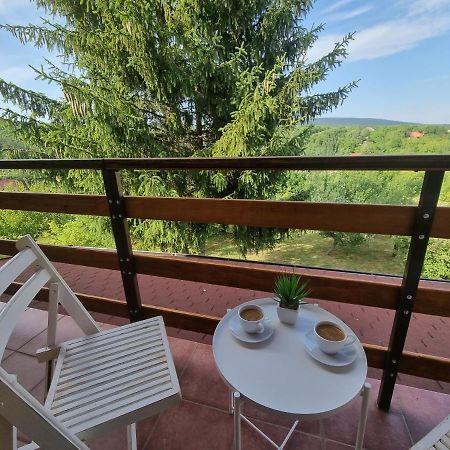 Villa Hoopovo House Fruska Gora Irig Esterno foto