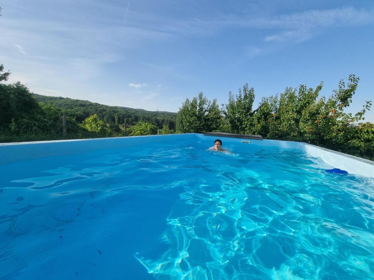 Villa Hoopovo House Fruska Gora Irig Esterno foto