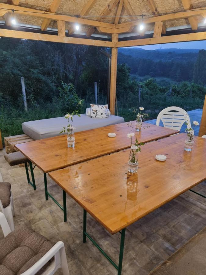 Villa Hoopovo House Fruska Gora Irig Esterno foto