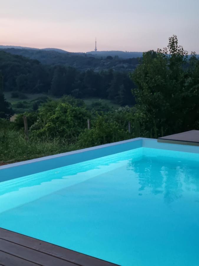 Villa Hoopovo House Fruska Gora Irig Esterno foto