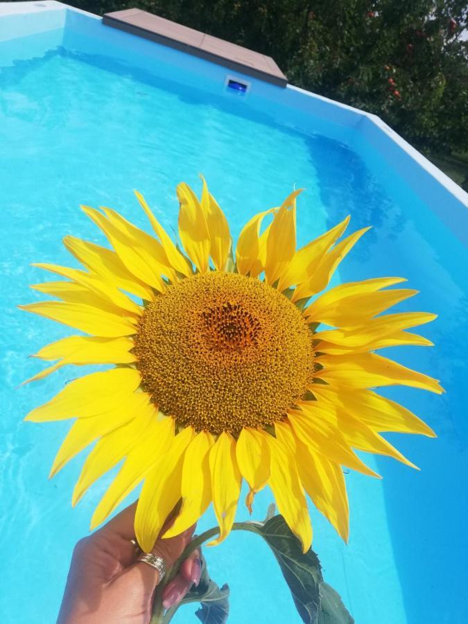 Villa Hoopovo House Fruska Gora Irig Esterno foto