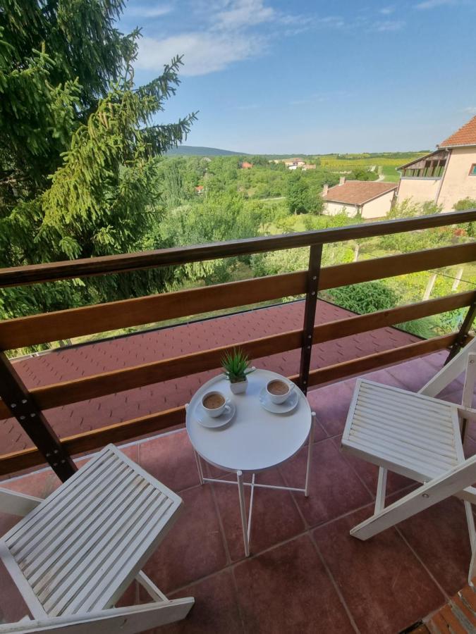 Villa Hoopovo House Fruska Gora Irig Esterno foto