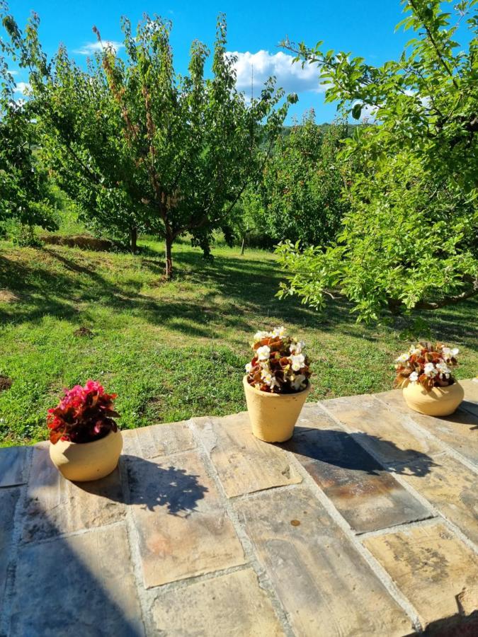 Villa Hoopovo House Fruska Gora Irig Esterno foto