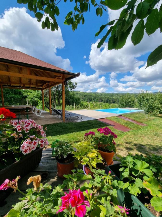 Villa Hoopovo House Fruska Gora Irig Esterno foto