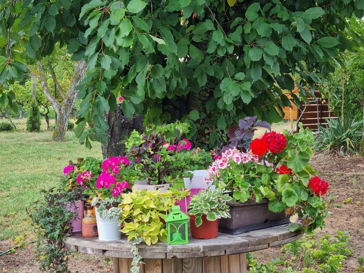 Villa Hoopovo House Fruska Gora Irig Esterno foto